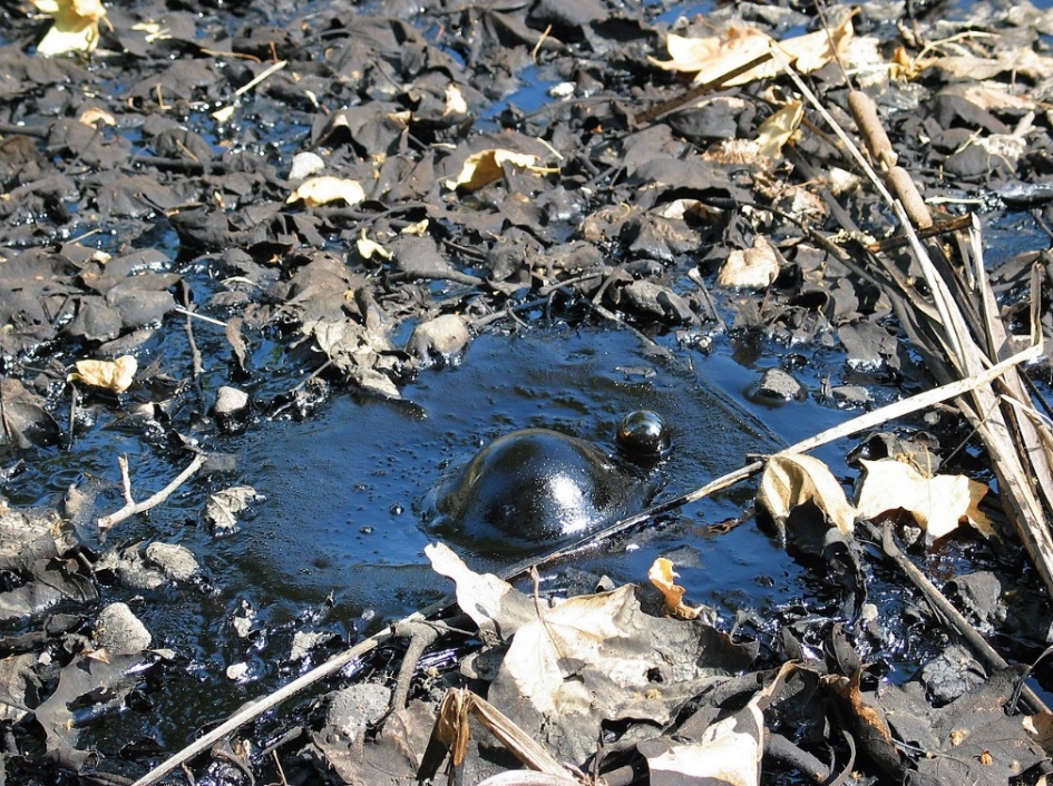 A picture containing ground, outdoor, rock

Description automatically generated