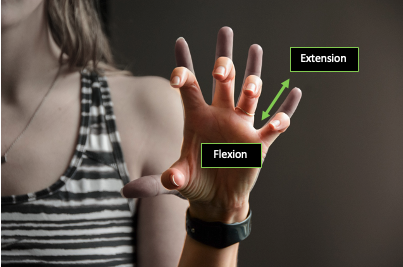 Person demonstrating finger flexion and extension of the left hand with directional arrows.