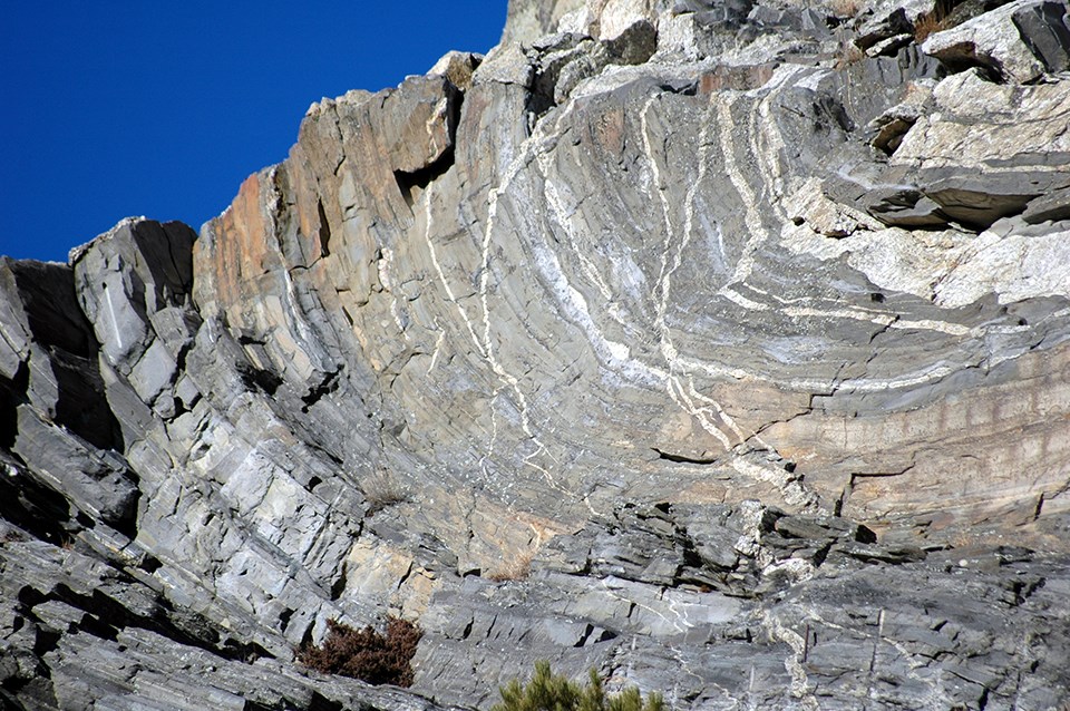 Tectonic Folding (U.S. National Park Service)