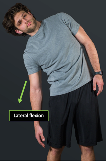 Front view of a person demonstrating a standing spinal lateral flexion.