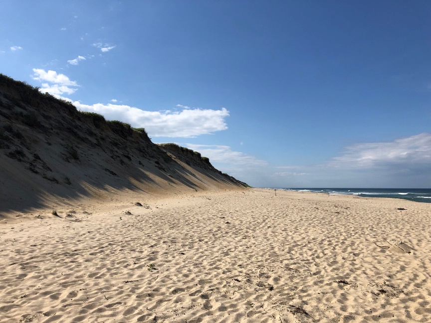 Sandy beach and cliff meet the sea