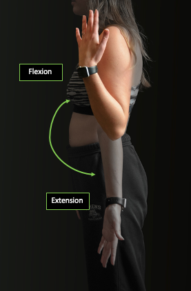 Person demonstrating elbow flexion and extension with directional arrows in the sagittal plane present.