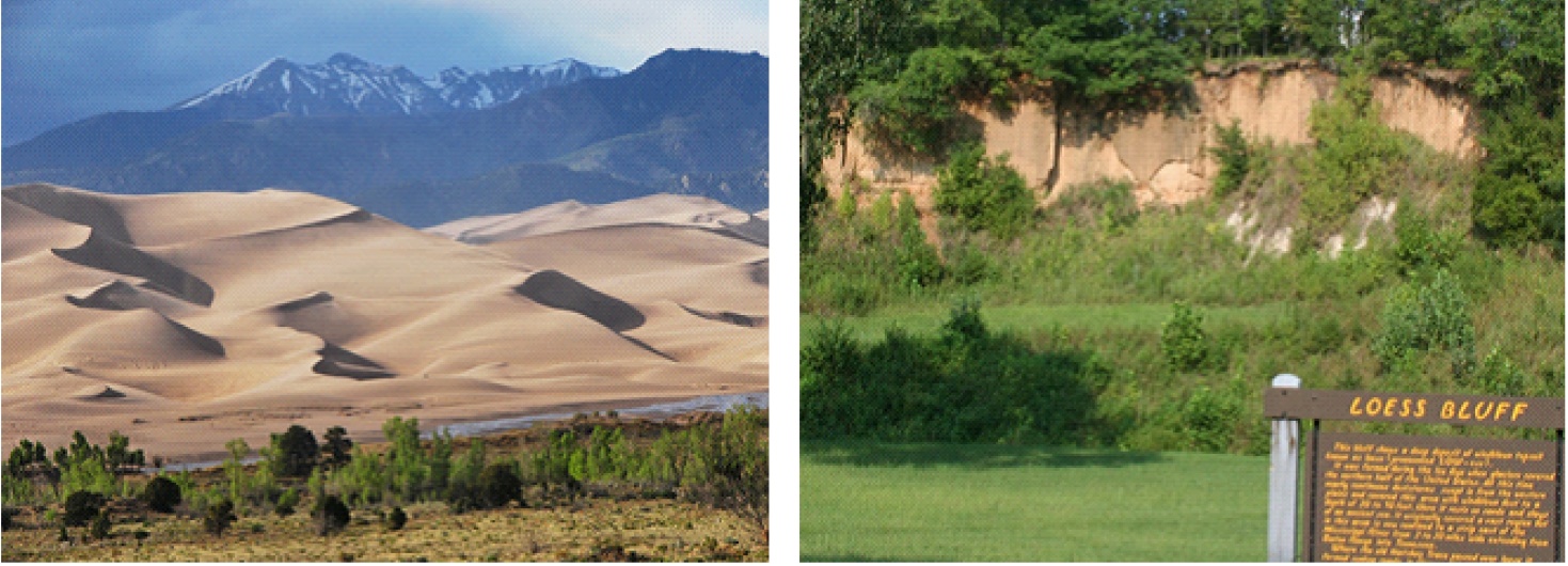 A picture containing text, grass, outdoor, nature

Description automatically generated
