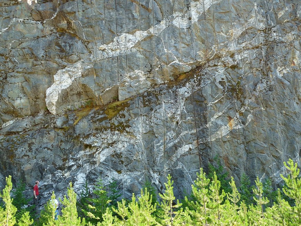 Migmatites are rocks that are mixtures of metamorphic and igneous rocks. This photograph is of the road cut at the Diablo Lake Overlook in North Cascades National Park along Highway 20. Photograph credit: Dave Tucker, NW Geology Field Trips.