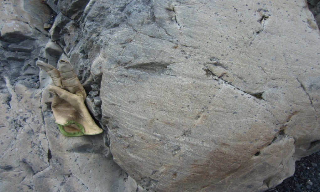 A frog on a rock

Description automatically generated with low confidence