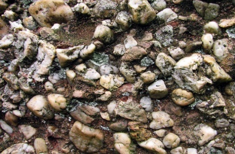Image result for images conglomerate