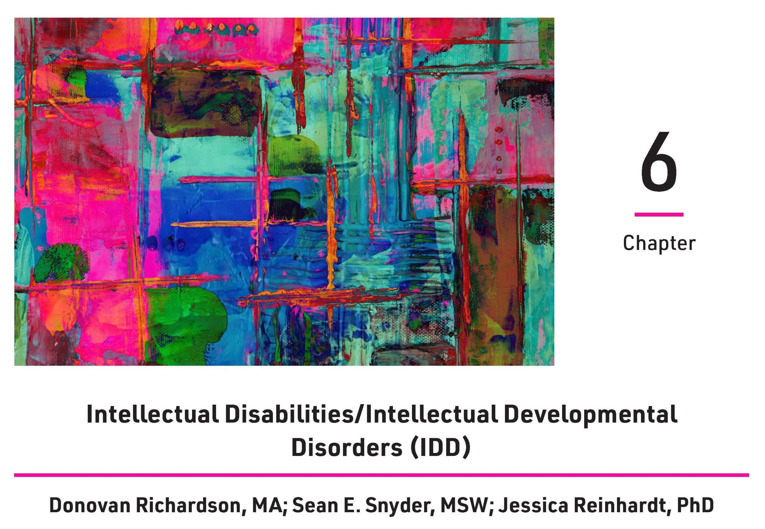 Cover for chapter six, Intellectual Disabilities/ Intellectual Developmental Disorders parenthesis IDD parenthesis, by Donovan Richardson, MA, Sean E. Snyder, MSW, and Jessica Reinhardt, PhD. A multicolored abstract painting is included next to the chapter number.