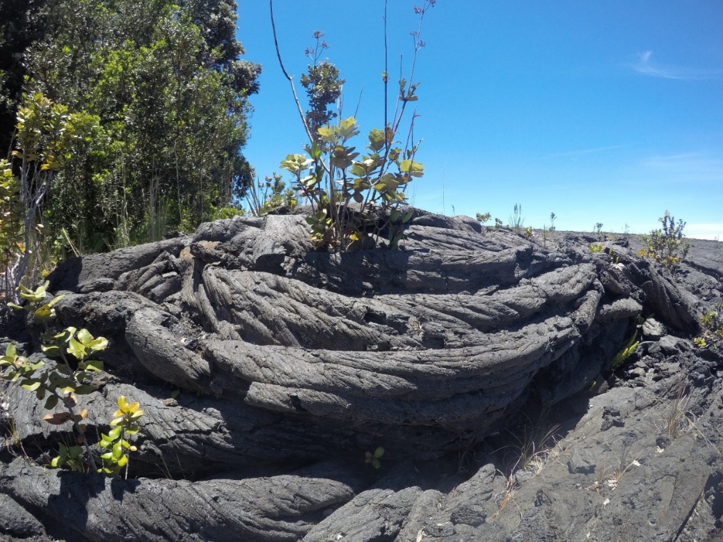 A picture containing tree, outdoor, sky, rock

Description automatically generated