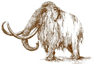 Woolly Mammoth