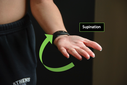 Person demonstrating supination of the forearm with directional arrows in the transverse plane present.