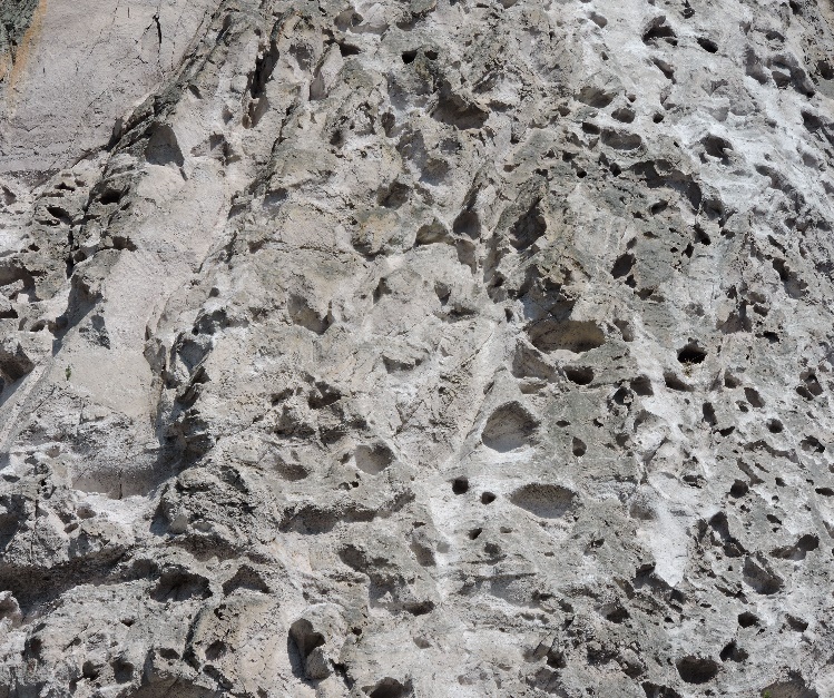 A close up of the moon

Description automatically generated with medium confidence