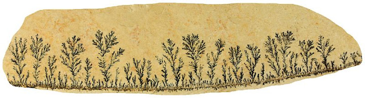 A picture containing text, furniture, rug

Description automatically generated