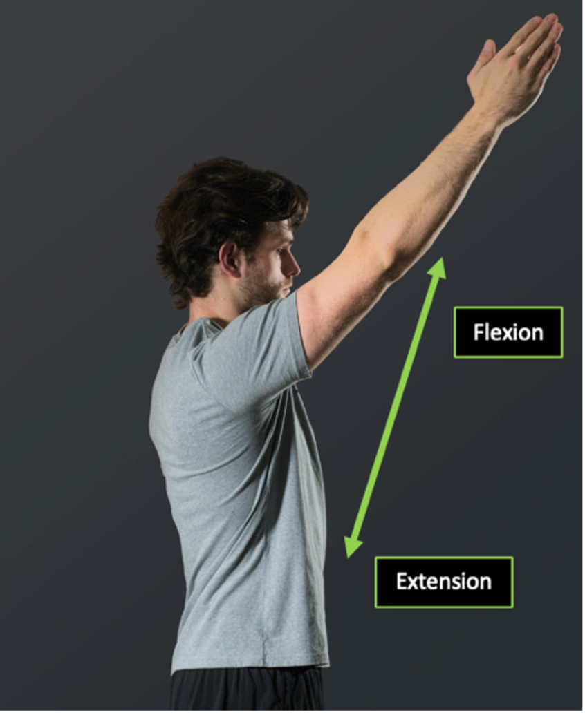 Person demonstrating right shoulder flexion and extension with directional arrows in the sagittal plane provided.