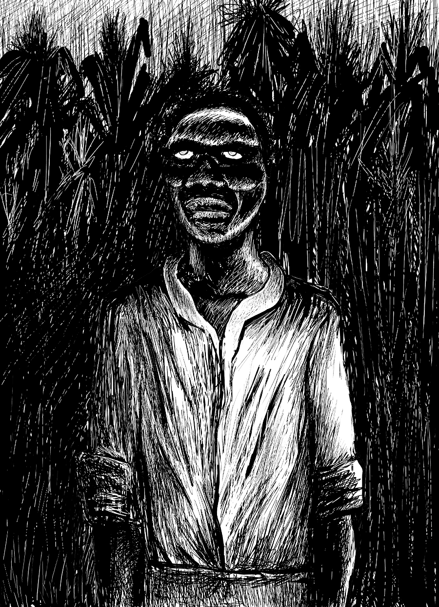 Black and white drawing of a zombie, an expressionless black man, whose eyes appear quite rolled back in his head, standing before countless stalks of sugar cane, supposedly on the plantation where he was being forced to labor.