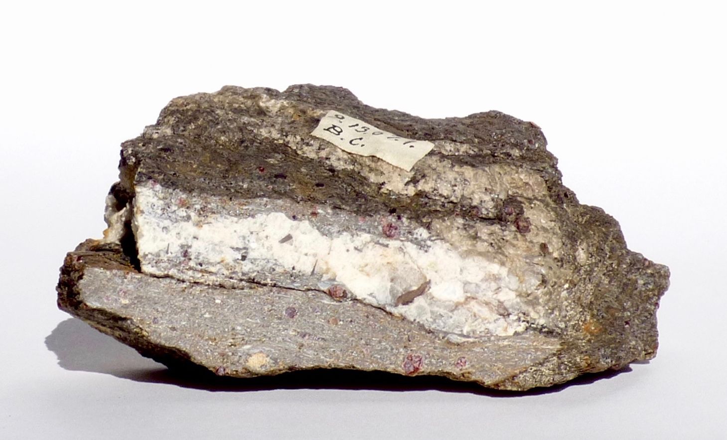 Metamorphic rock called schist rich in garnets. Notice the consistent hexagonal shape and pink color. North Cascades NPS Complex, Peter Misch Geology Collection, NOCA 45665.