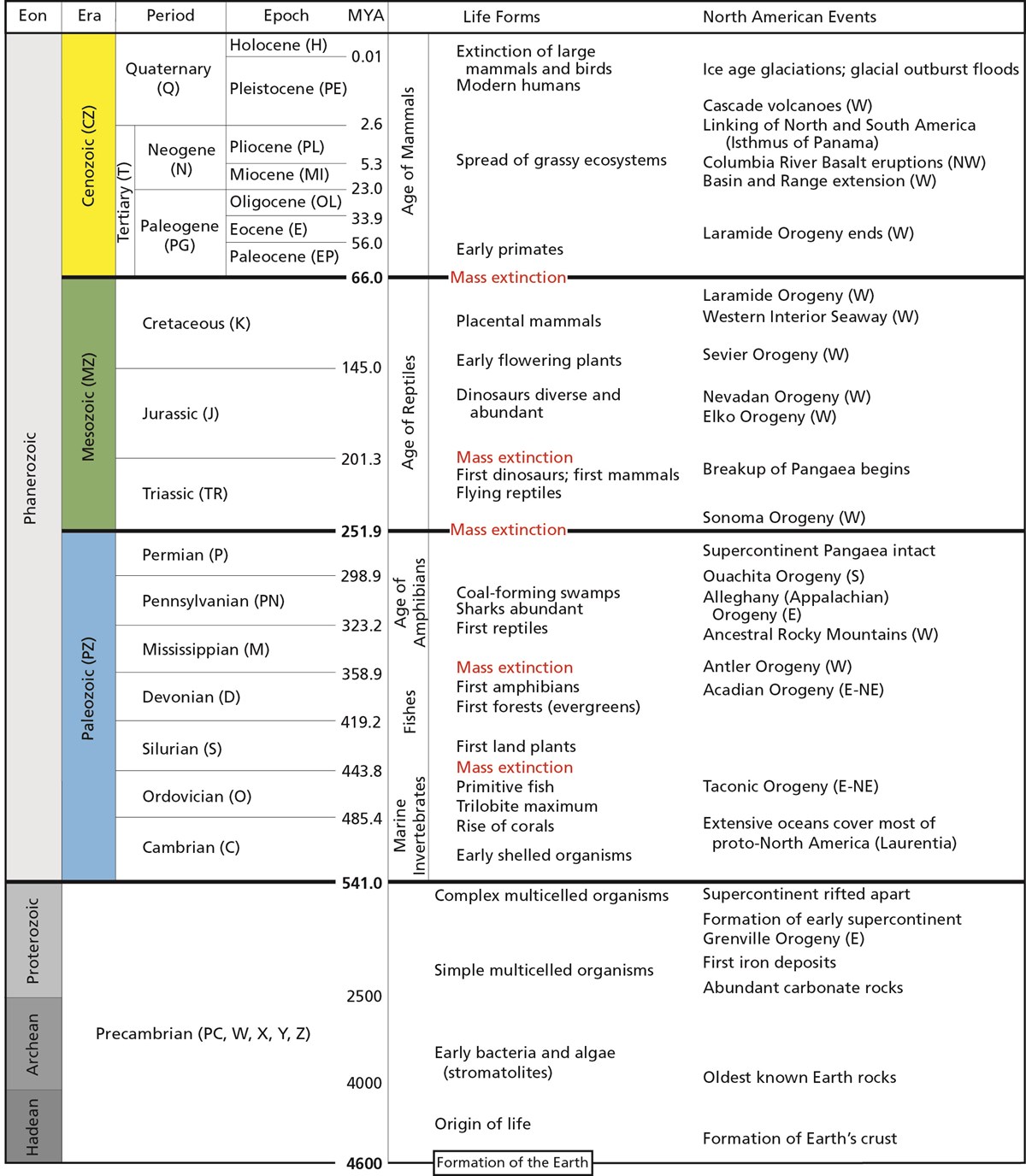 Image result for geologic time scale