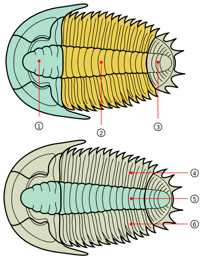 Diagram

Description automatically generated