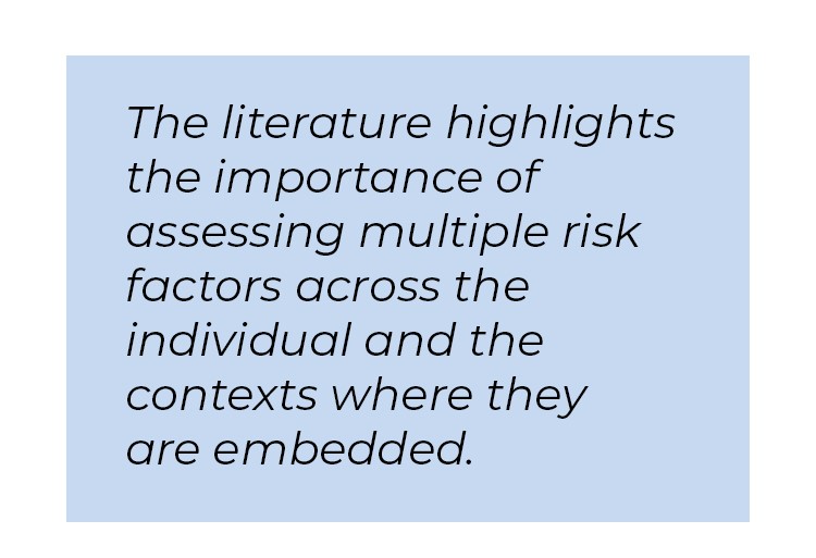 Pull quote in blue textbox. The literature highlights the importance of assessing multiple risk factors across the individual and the contexts where they are embedded.